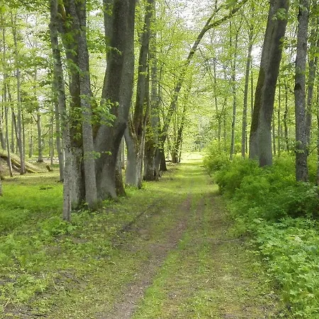 Ravila Manor Pensionat