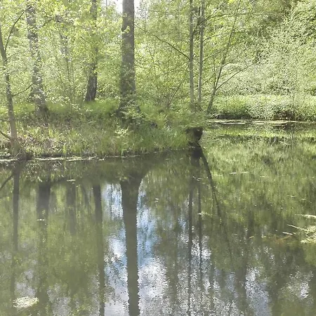 Pensionat Ravila Manor Kose (Harju)