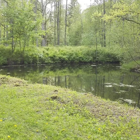 Pensionat Ravila Manor Kose (Harju)