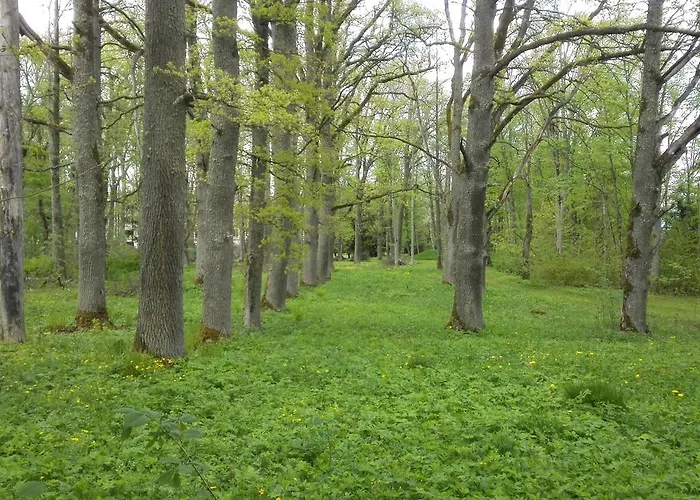 Ravila Manor Külalistemaja Kose (Harju)